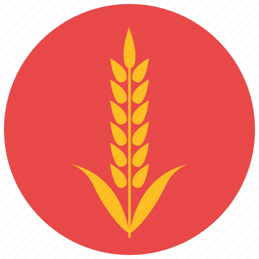 Farm, food, harvest, pastry, product, wheat icon - Download on Iconfinder