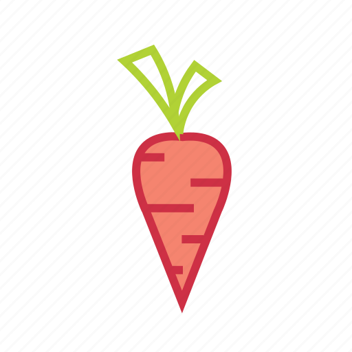 Carrot, diet food, food, healthy, vegetable, veggie icon - Download on Iconfinder