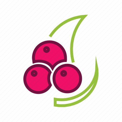 Berry, cherries, cherry, food, fruits, thanksgiving icon - Download on Iconfinder