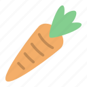 healthy, vegetable, carrot, food, gastronomy