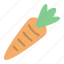 healthy, vegetable, carrot, food, gastronomy 