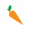 food, carrot, vegetable