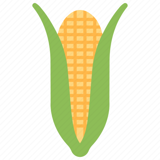 Corn cob, barley, crop, corn, agriculture icon - Download on Iconfinder