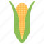 corn cob, barley, crop, corn, agriculture 