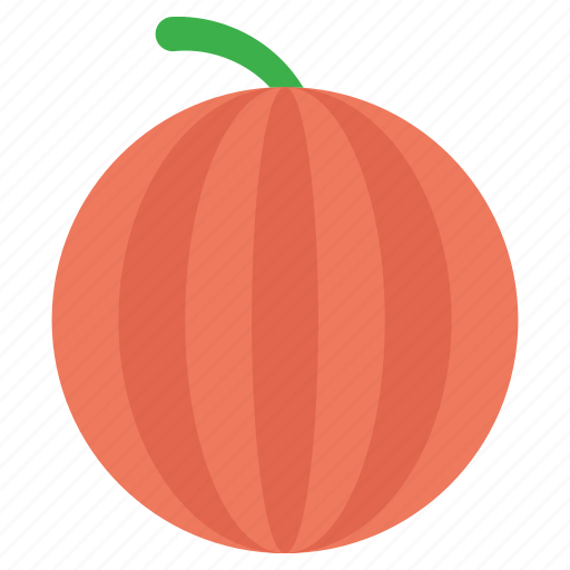 Cantaloupe, food, fruit, watermelon, watermelon slice icon - Download on Iconfinder