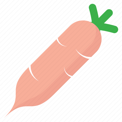 Daikon, daikon radish, food, vegetable, white radish icon - Download on Iconfinder