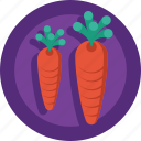 food, vegetable, carrots