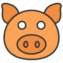 animal, pet pig, pig, pig face, piglet