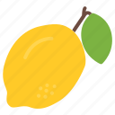 lemon, fruit, healthy, health