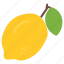 lemon, fruit, healthy, health 