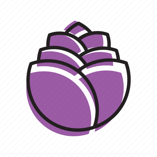 Cabbage, food, fruit, purple, vegetable icon - Download on Iconfinder