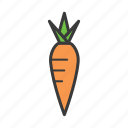 carrot, food