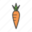 carrot, food 