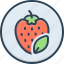 organic fruit, organic, fruit, farming, fleshy fruit, fruitlet, chemical free, healthy, nutrition, natural 