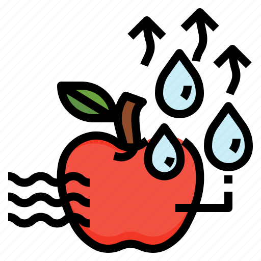Drying, dehydration, fruit, processing, preservation, preservation technology, food science icon - Download on Iconfinder