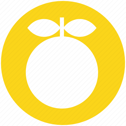 Citrus, food, fruit, natural, orange, organic icon - Download on Iconfinder