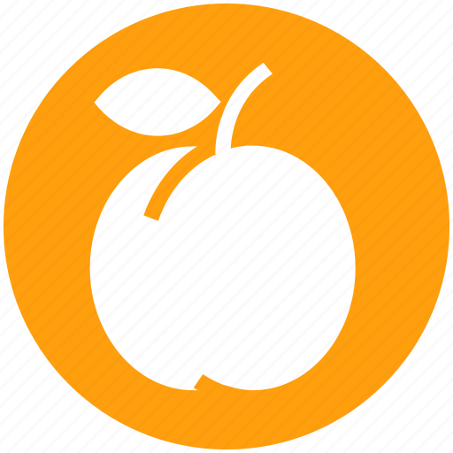 Apricot, food, fruit, juicy, organic, plum, prune icon - Download on Iconfinder