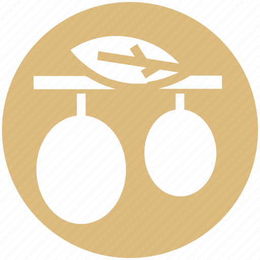 Diet, food, fruit, healthy diet, nutrition, olive branch icon - Download on Iconfinder