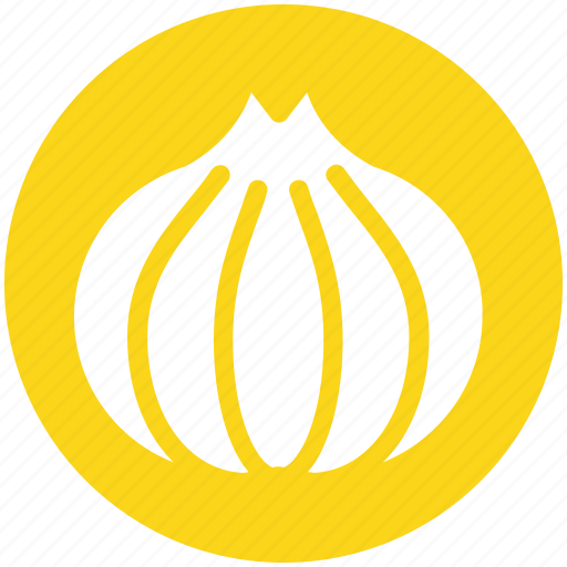 Allium, clove, cook, cooking, garlic, ingredient, vegetables icon - Download on Iconfinder