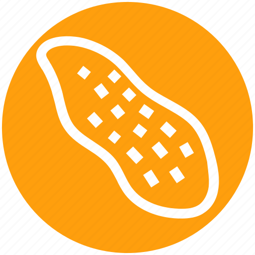 Dry fruit, food, groundnuts, nut, nuts, peanuts, snack icon - Download on Iconfinder