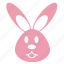 animal, bunny, cute, rabbit, face, head, pet 