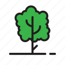tree, nature, plant, forest, green, environment, flower
