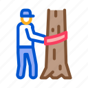 equipment, felling, linear, lumberjack, protection, tree, working