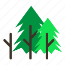 branch, forestry, forrest, pine, spike, tree, trees