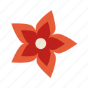 poinsettia, red, flower, flat, icon, christmas, plants, decorative, winter