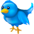 twitter, logo, social media, tweet, bird, social