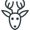 animal, christmas, deer, rudolf