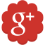 flower, google, googleplus, media, plus, round, social 