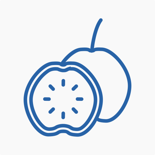 Guava, food, fruit, eat icon - Free download on Iconfinder