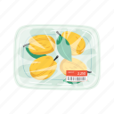 pomelo, fruit, citrus, flat, icon, fresh, packaging, food, plastic