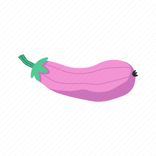 Eggplant, vegetable, elements, flat, icon, fresh, packaging icon - Download on Iconfinder
