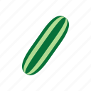 cucumber, vegetable