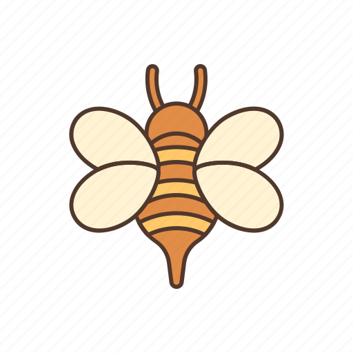Bee, insect, animal, spring icon - Download on Iconfinder
