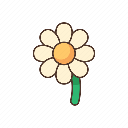 Daisy, flower, floral, spring, blossom icon - Download on Iconfinder