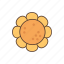 sunflower, flower, floral, spring