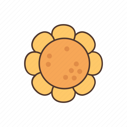 Sunflower, flower, floral, spring icon - Download on Iconfinder