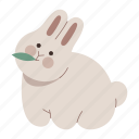 rabbit, eating, happy, bunny, animal, pet, chubby