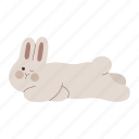 rabbit, flopped, lying down, posture, bunny, animal, winking eye