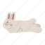 rabbit, flopped, lying down, posture, bunny, animal, winking eye 