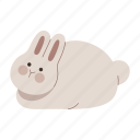 rabbit, loafing, sit, bunny, animal, pet, character