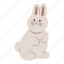 rabbit, sitting, pose, bunny, animal, pet, cute 