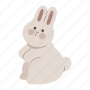 rabbit, sitting, pose, bunny, animal, pet, side view