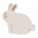 rabbit, sitting, pose, bunny, animal, back, side view