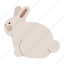 rabbit, sitting, pose, bunny, animal, back, side view 