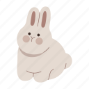 rabbit, sitting, pose, bunny, animal, pet, cute