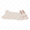 rabbit, sleeping, relaxing, relaxation, sprawl, lying down, bunny